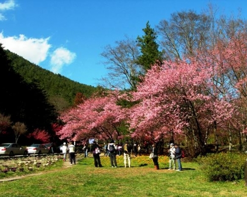 臺(tái)中武陵農(nóng)場(chǎng)