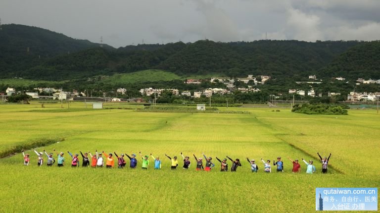 彰化不落191，帶你走訪稻穗最美的時節。