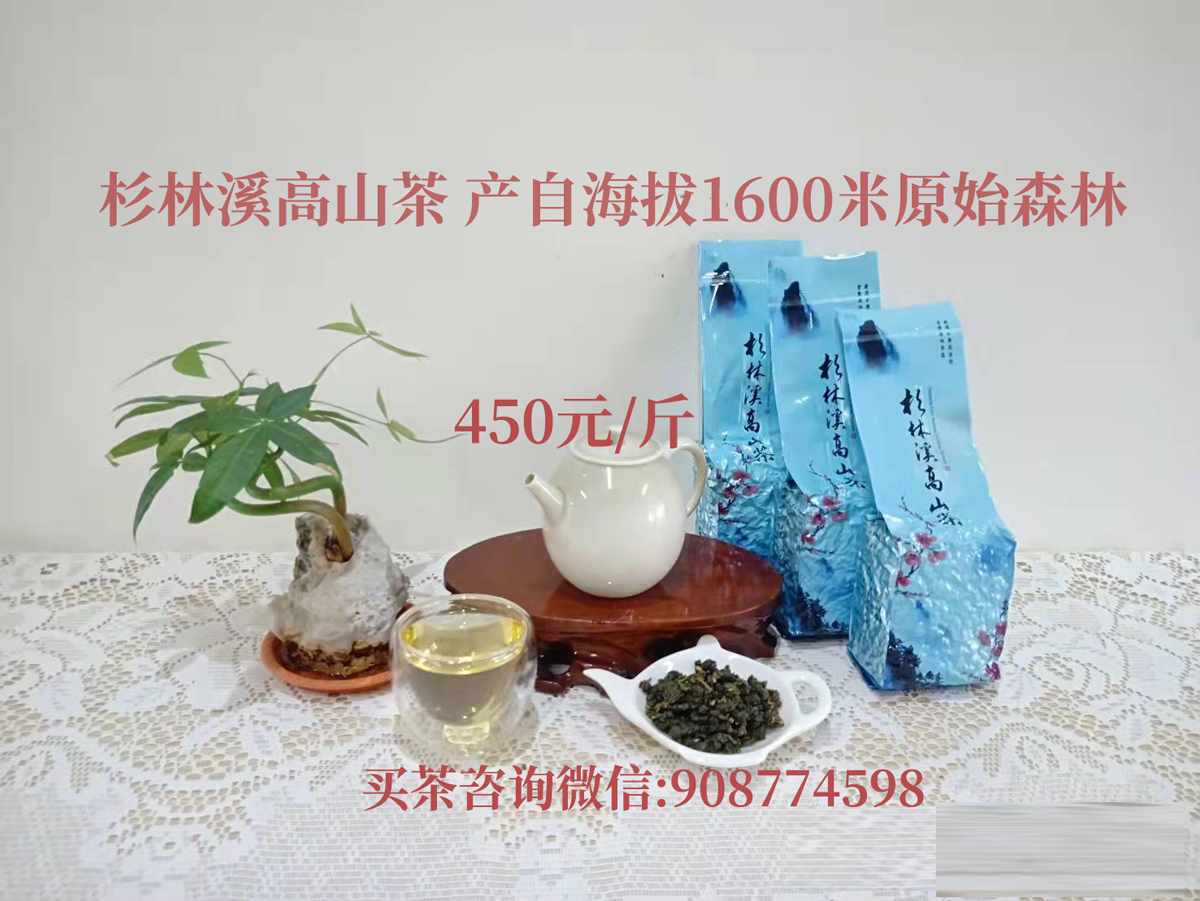 杉林溪烏龍茶